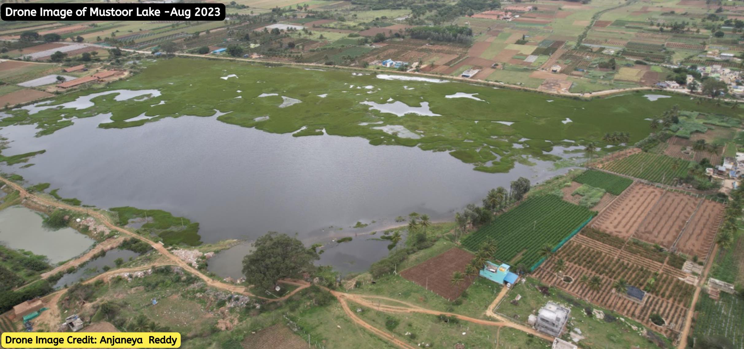 Muster lake, Chikkaballapur filled with secondary treated wastewater under HN valley project. Water Hyacinth is observed