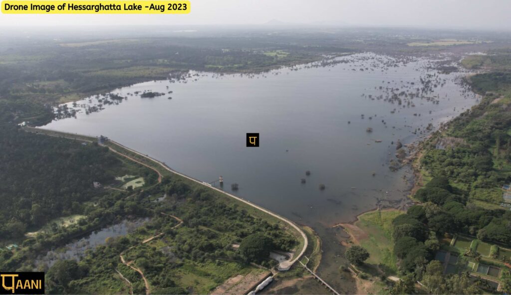 Hessarghatta Lake filled with rain water. No water hyacinth