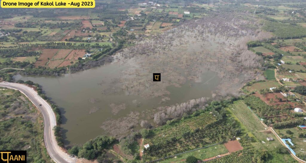 Kakol Lake filled with rain water. No water hyacinth