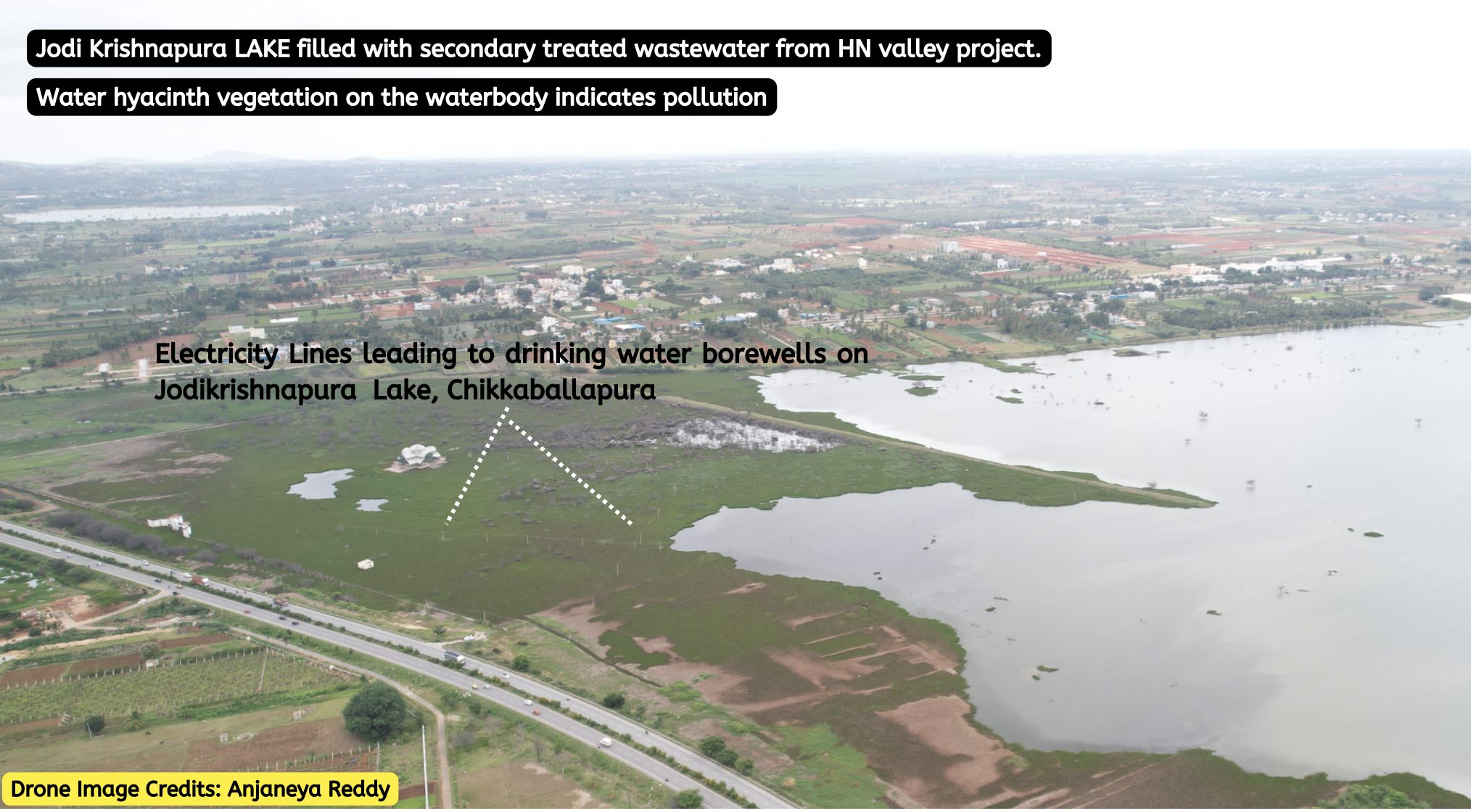 Jodi Krishnapura Lake filled with secondary treated wastewater. Water Hyacinth is observed